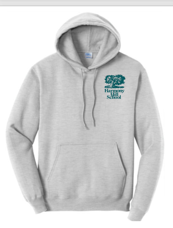 Youth Hooded Sweatshirt