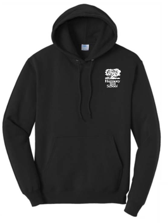 Youth Hooded Sweatshirt