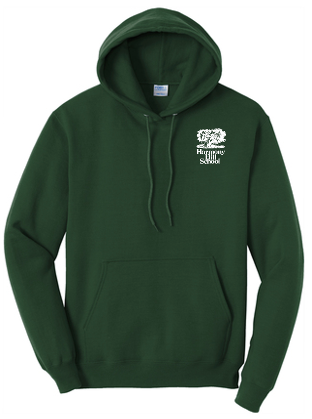 Youth Hooded Sweatshirt