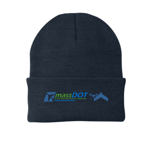 Winter Beanie
